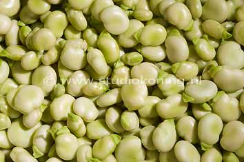 [img width=354 height=235]http://www.studiokoning.nl/Foto_8/Tuinboontjes_23062008_7416.jpg[/img]